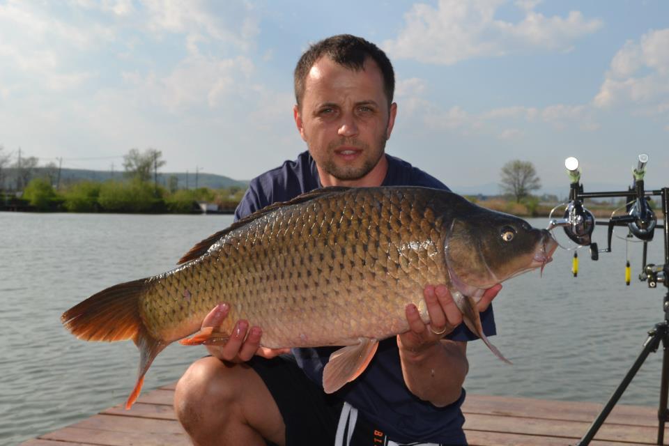 Capturi 2013 - Pleasa - 3760866631021537164101984264657n.jpg